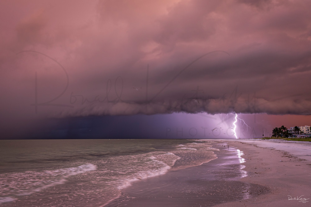 Birds, Bolts and Shelf Clouds at Siesta Key