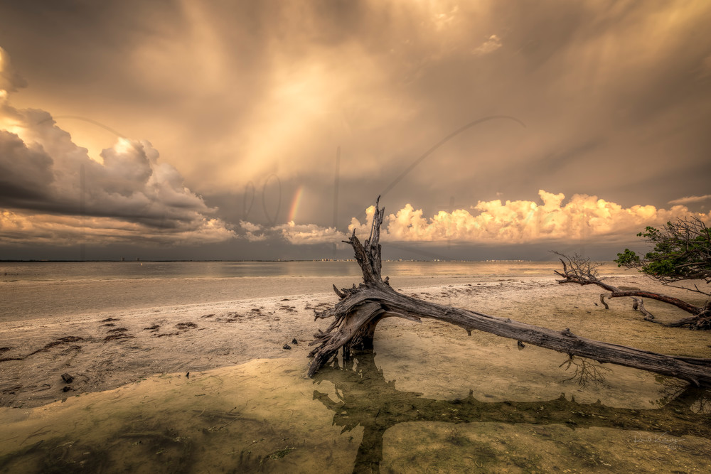 The Deadwood and the Rainbow at Sanibel