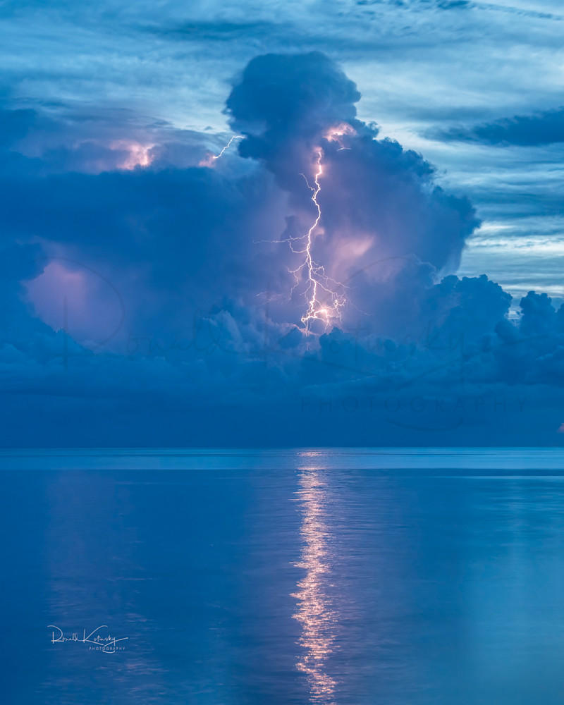 Blue Hour Bolting at Crystal River