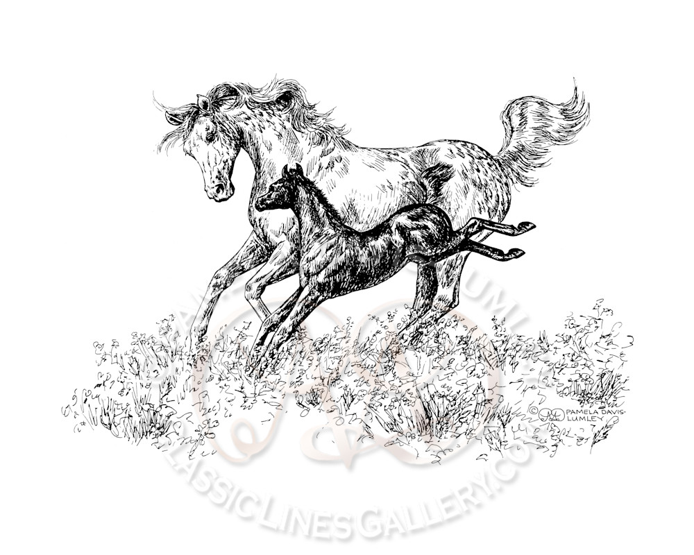 Spring Foal  Art | Classic Lines Gallery LLC