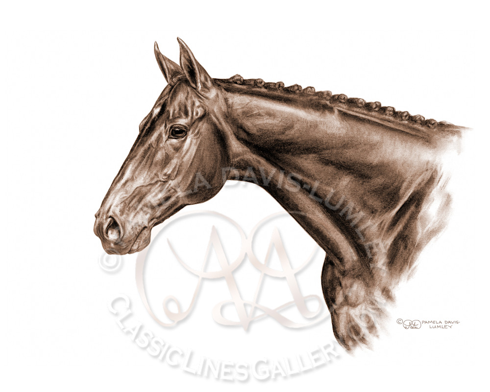 Cute And Deadly (Thoroughbred Stallion)   Sepia Art | Classic Lines Gallery LLC