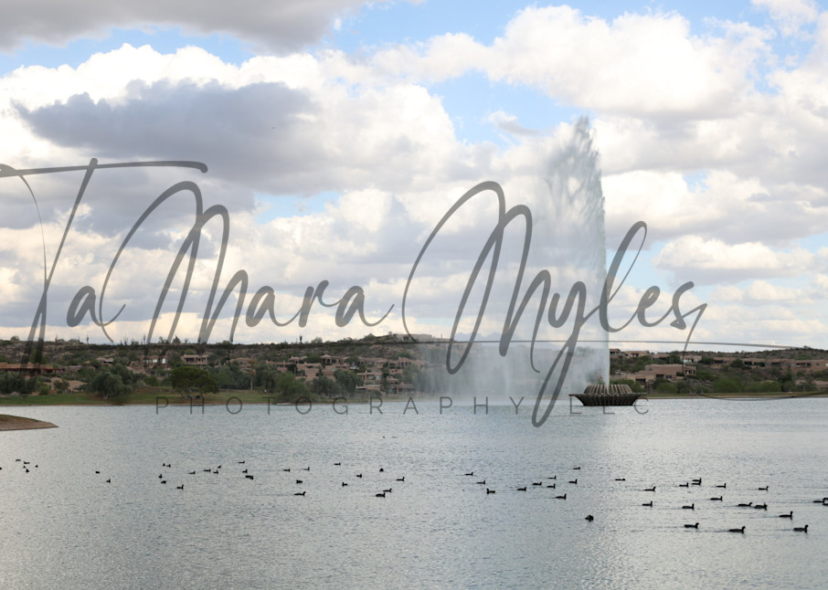 The Water Spout Photography Art | TaMara Myles Photography LLC