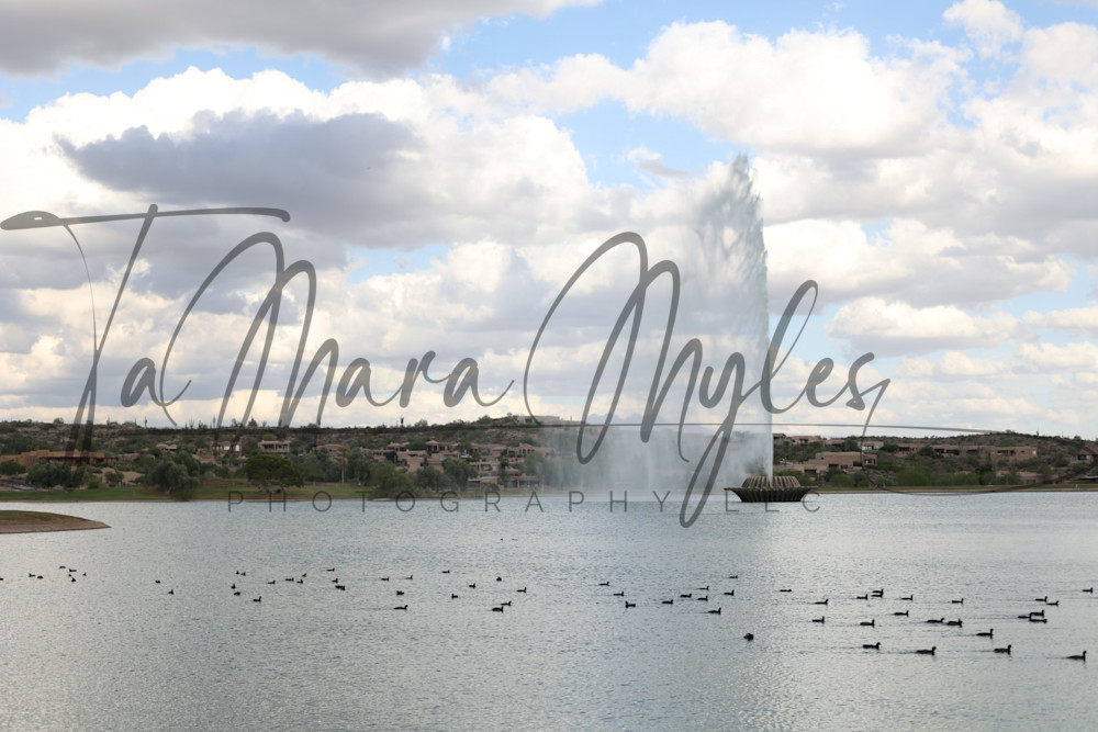 The Water Spout Photography Art | TaMara Myles Photography LLC