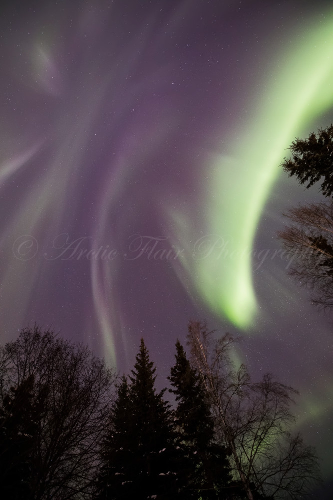 Divergence  - Northern Lights print from Arctic Flair Photography