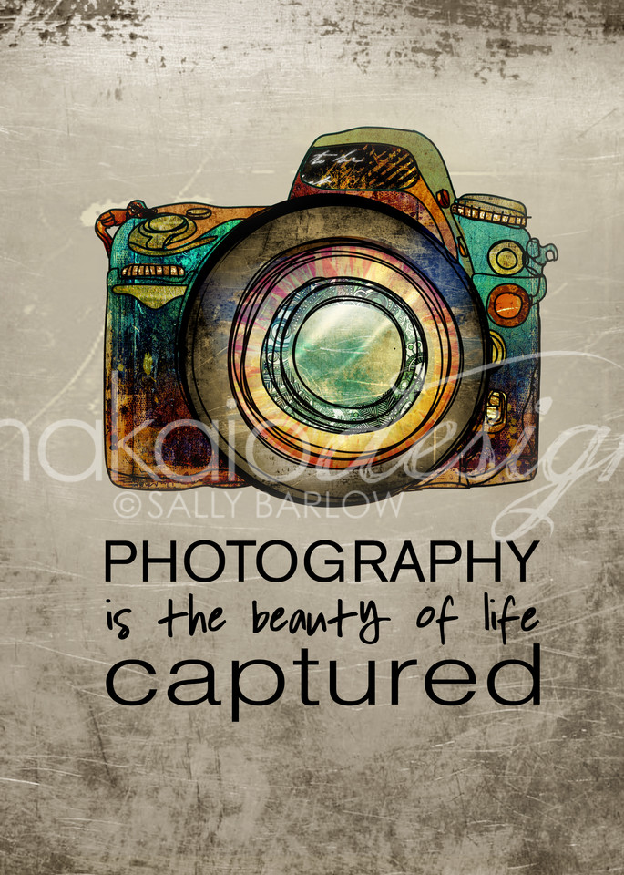 Photography art quote illustration by Sally Barlow