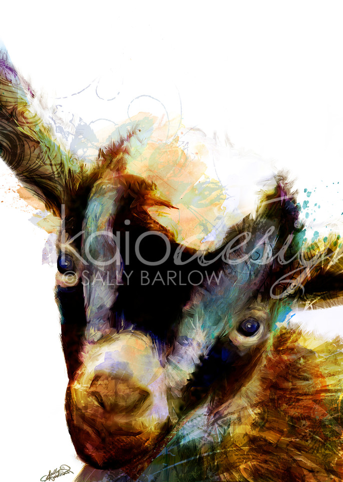 Adorable baby goat art painting by Sally Barlow