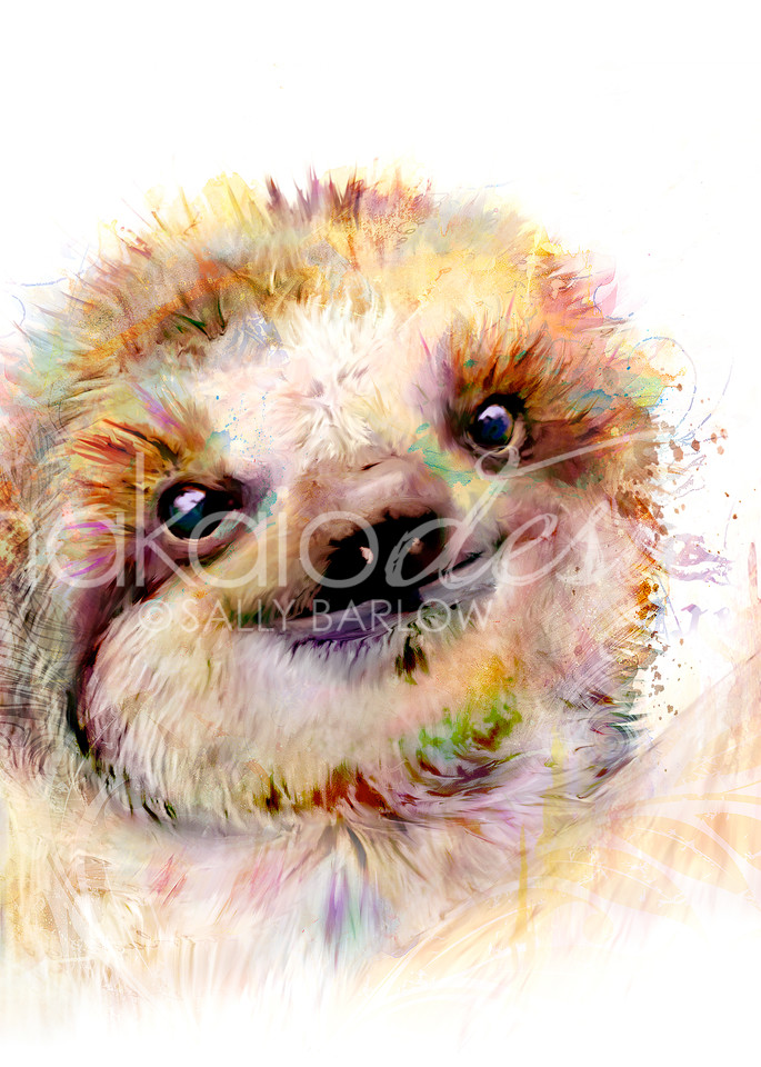 Adorable fluffy baby sloth art painting by Sally Barlow