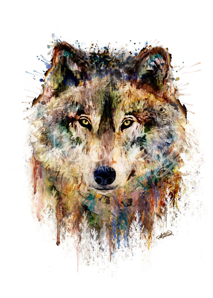 Bold, unique mixed media wolf painting by Sally Barlow.