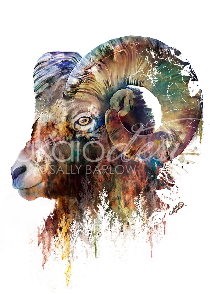 Big Horn Sheep landscape mixed media painting by Sally Barlow