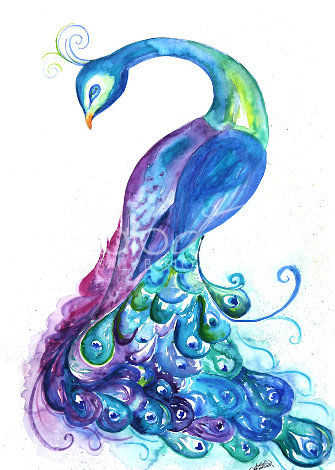 Gorgeous watercolor peacock art by sally barlow