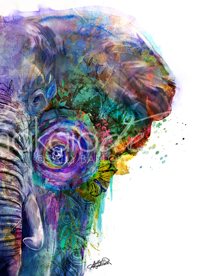 Bright and bold elephant art from the garden of the wild series by Sally Barlow