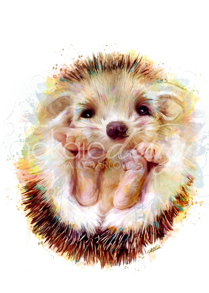 Peeko baby adorable hedgehog art painting by Sally Barlow