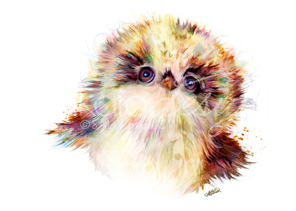 Fluffy baby owl art print by Sally Barlow