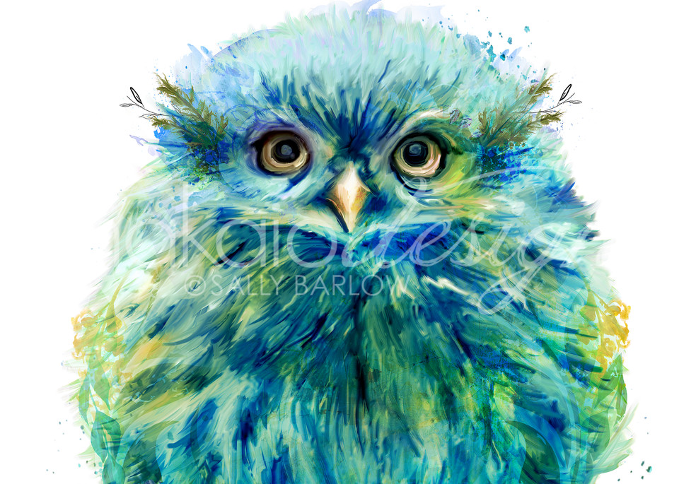 Fiji baby owl art by Sally Barlow