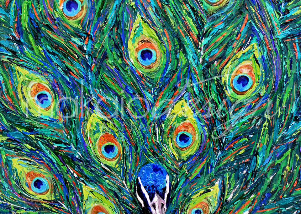 Contemporary Peacock painting by Sally Barlow