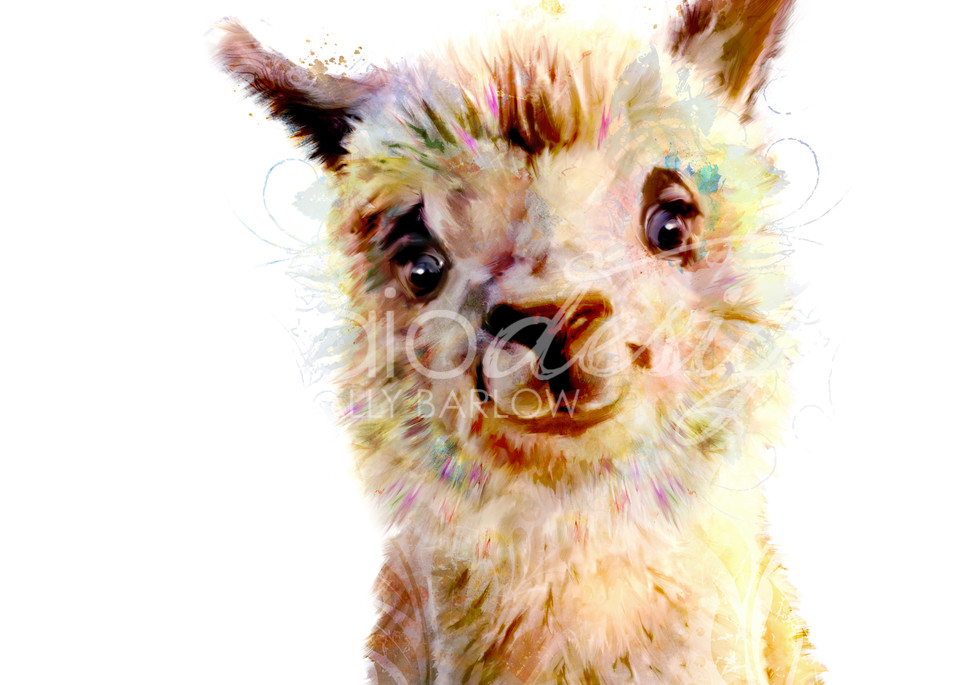Adorable baby alpaca art painting by Sally Barlow