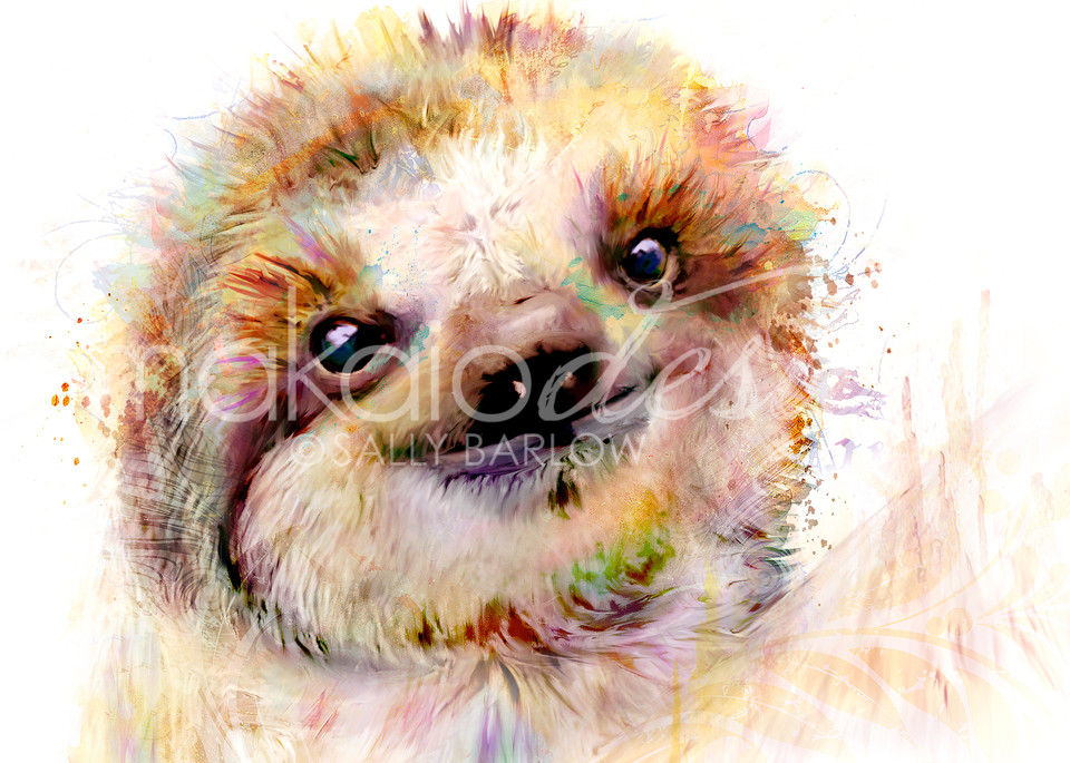 Adorable fluffy baby sloth art painting by Sally Barlow