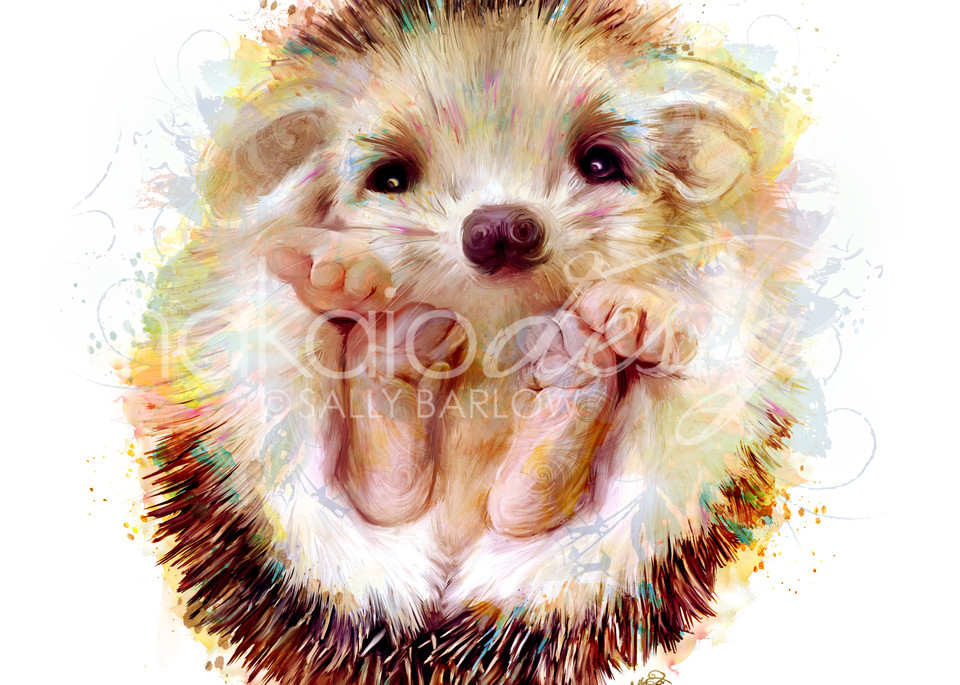 Peeko baby adorable hedgehog art painting by Sally Barlow