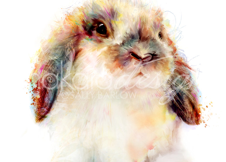 Adorably fluffy bunny art painting by Sally Barlow