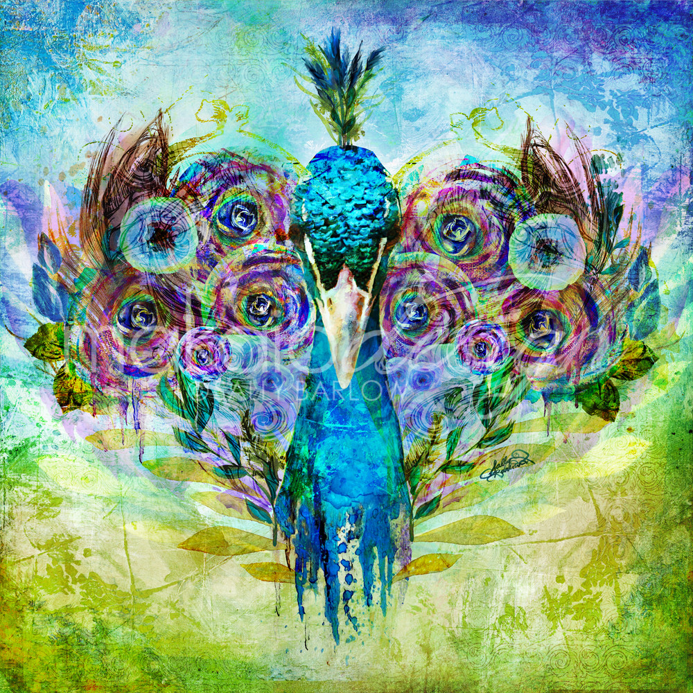 Bright and bold peacock mixed media painting art by Sally Barlow