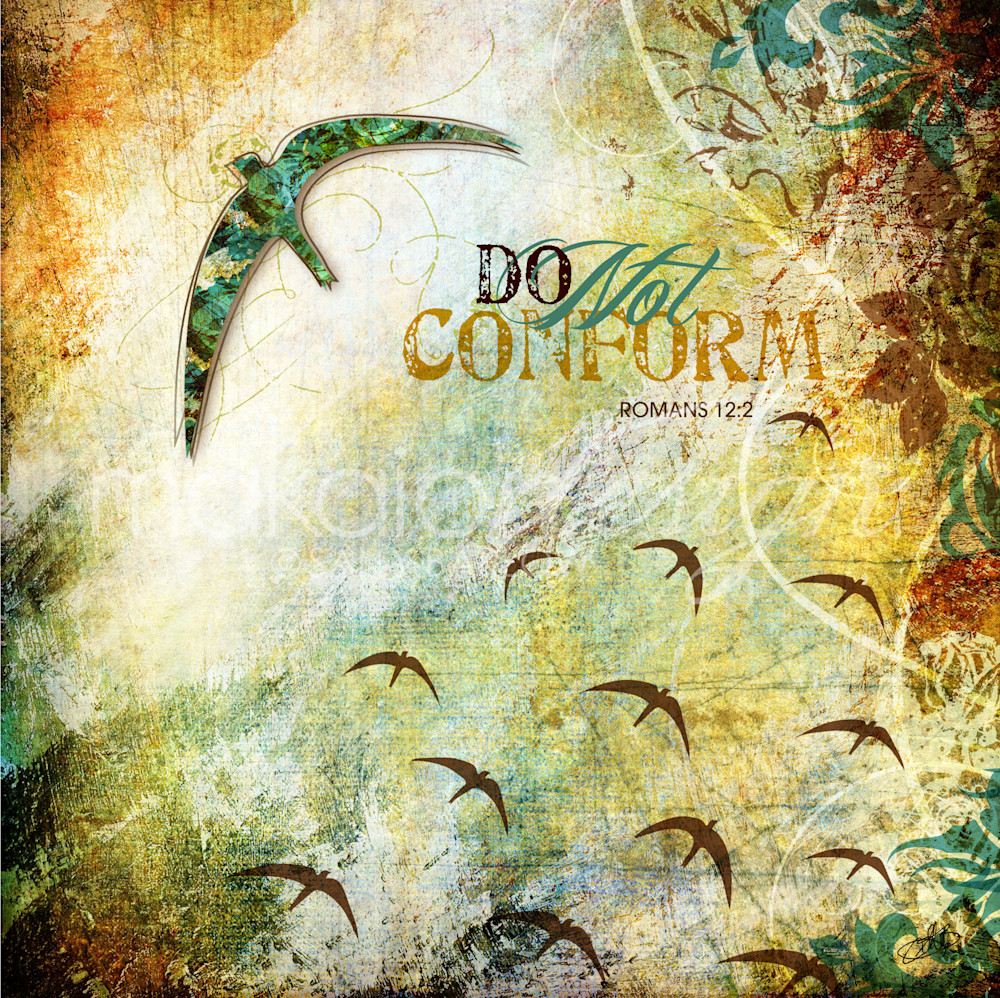 Do Not Conform  Art | Sally Barlow, Makaio Design