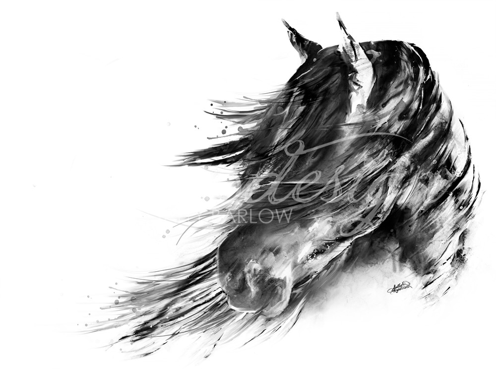 Black and White Abstract Horse Painting