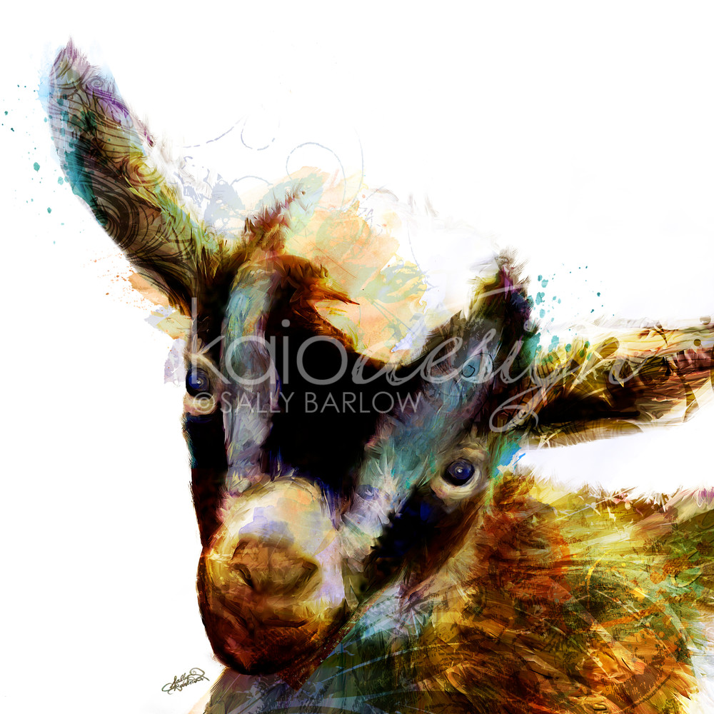 Adorable baby goat art painting by Sally Barlow