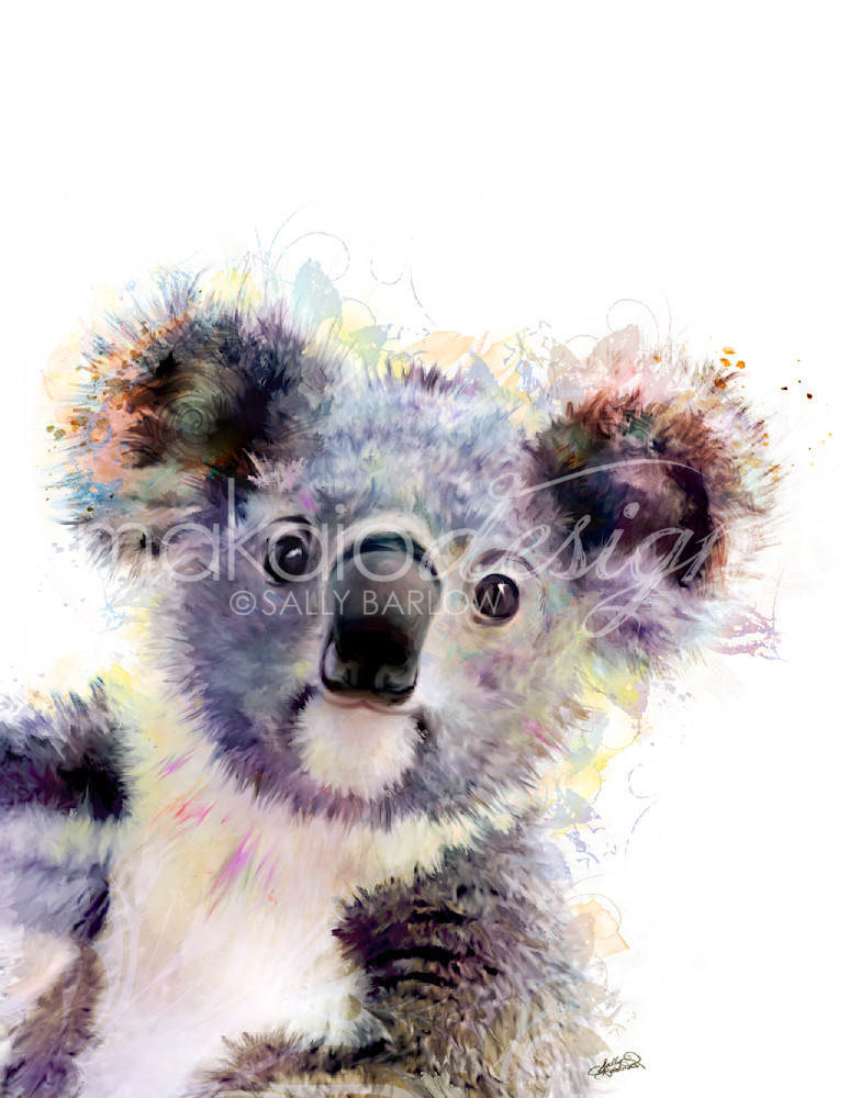Adorably baby koala art painting by Sally Barlow