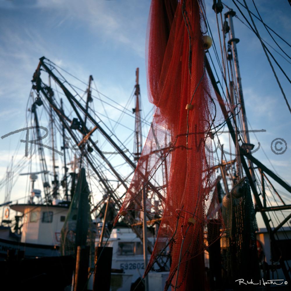 Gulf Coast 5 Photography Art | Rick Hunter Photo/Hunter Services 