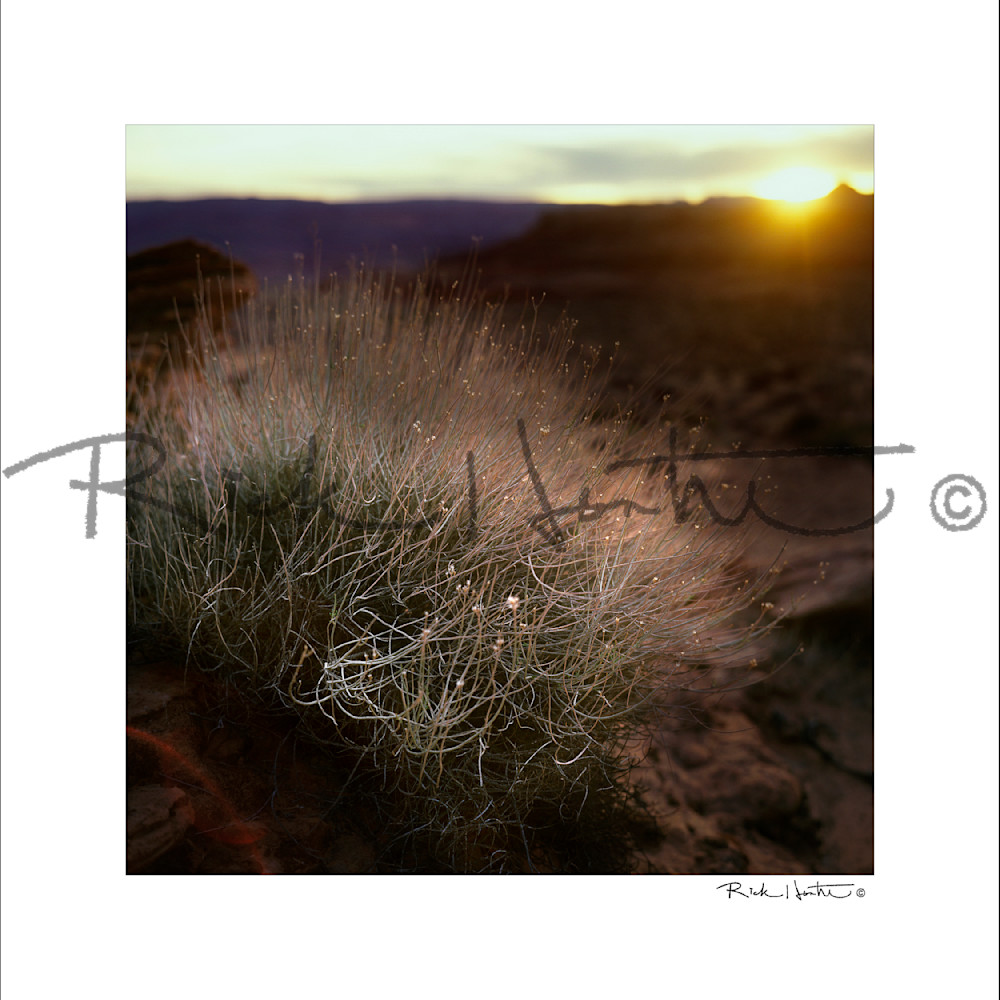 Sw Sunset Photography Art | Rick Hunter Photo/Hunter Services 