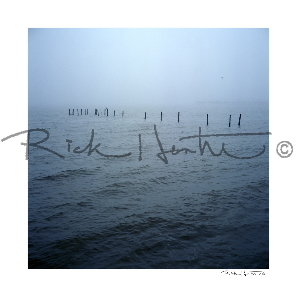 Coast Fog Photography Art | Rick Hunter Photo/Hunter Services 