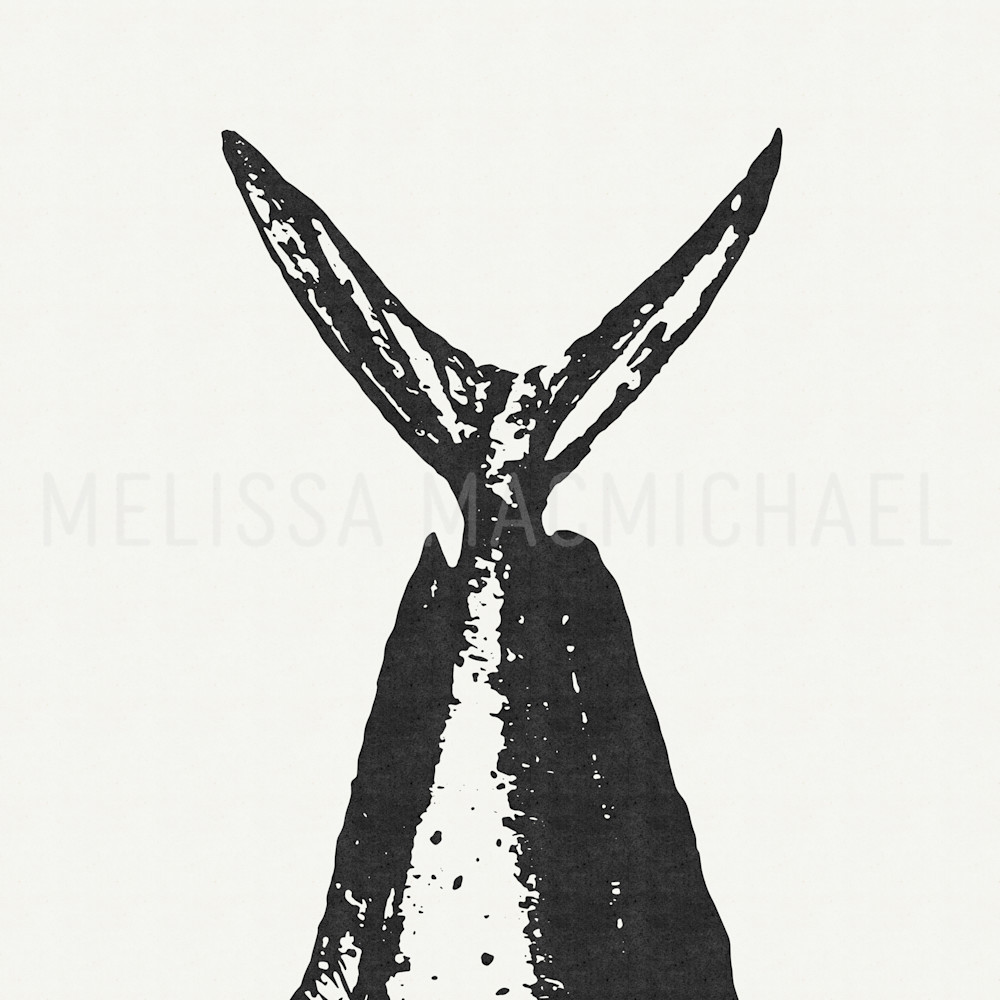Mahi   Just The Tail (Antique Vibe) Art | Melissa MacMichael Designs