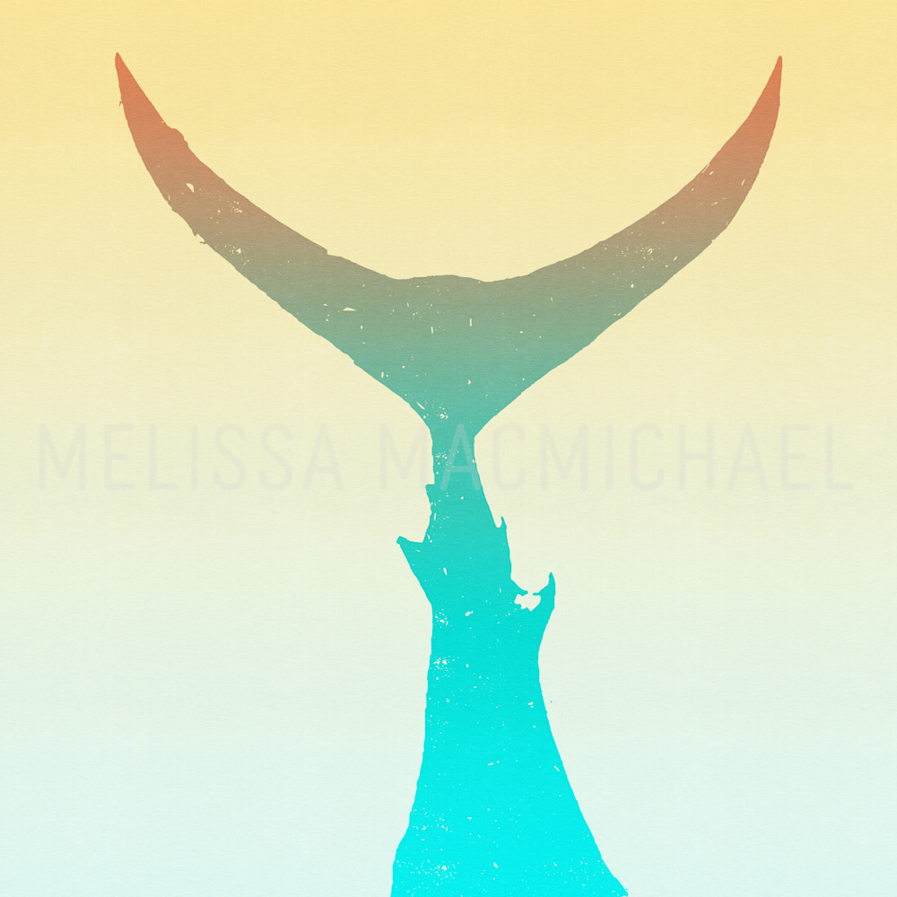 White Marlin Tail Graphic: Shop Prints | Melissa MacMichael Art