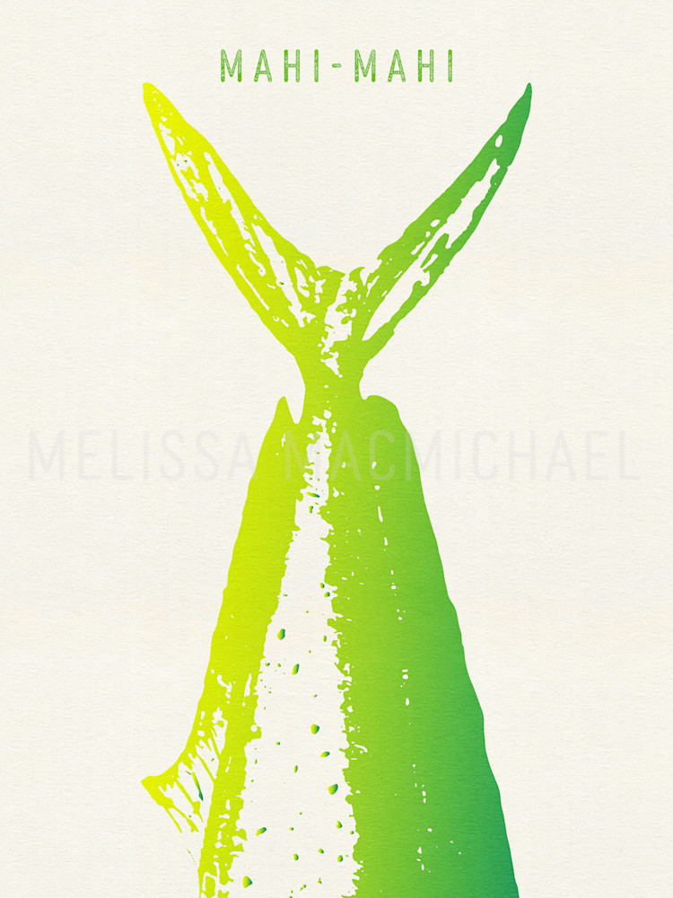 Mahi Mahi Tail Graphic / Vector Stamp: Shop Prints | Melissa MacMichael Art