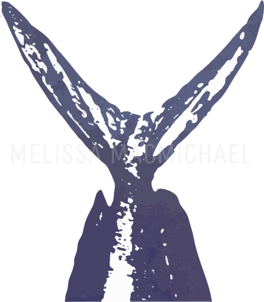 Mahi Mahi Tail Port City Blues: Shop Prints | Melissa MacMichael Art