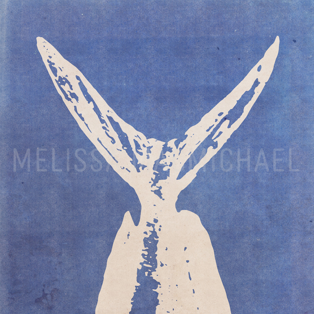 Mahi Mahi Tail Wilmington Blues: Shop Prints | Melissa MacMichael Art