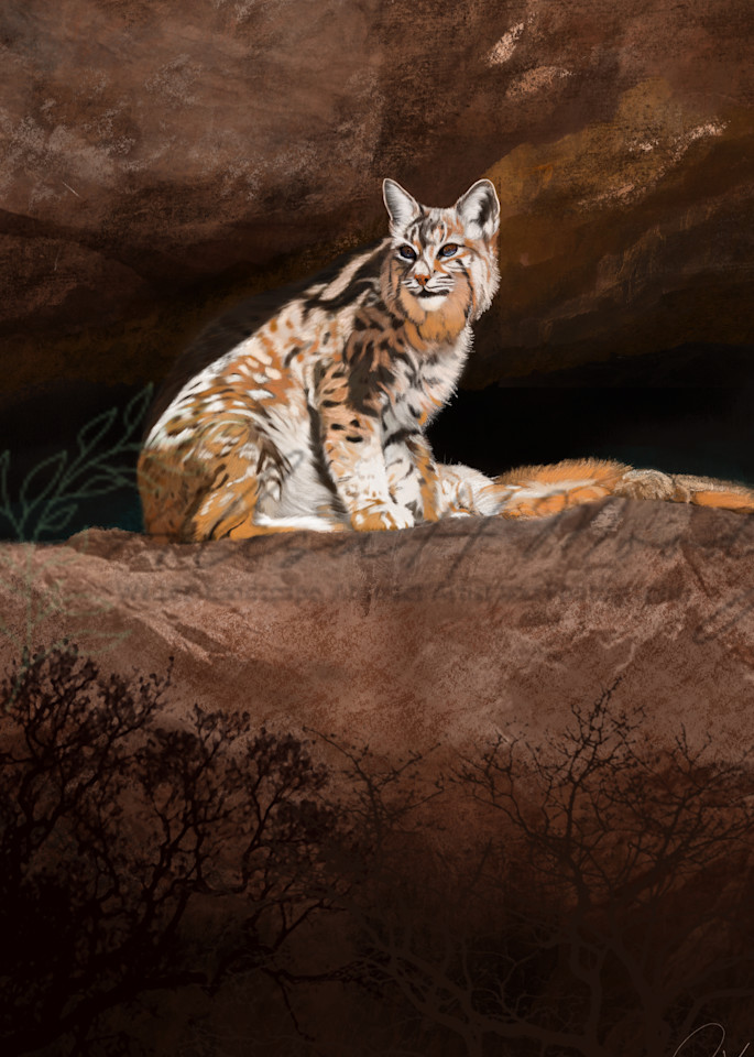 Bobcat In Cliffs Art | Wild Country Studios