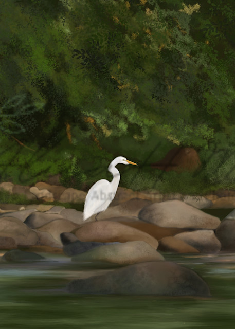 White Egret On The New River Art | Wild Country Studios