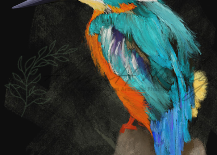 Kingfisher Art | Wild Country Studios