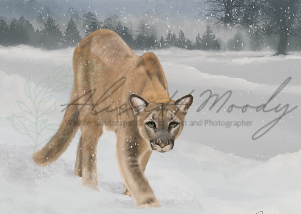 Cougar In Snow Art | Wild Country Studios