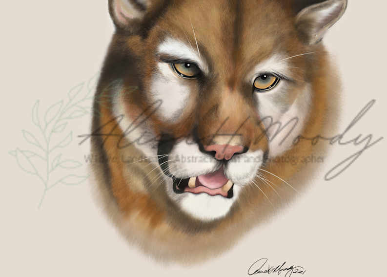 Cougar Art | Wild Country Studios