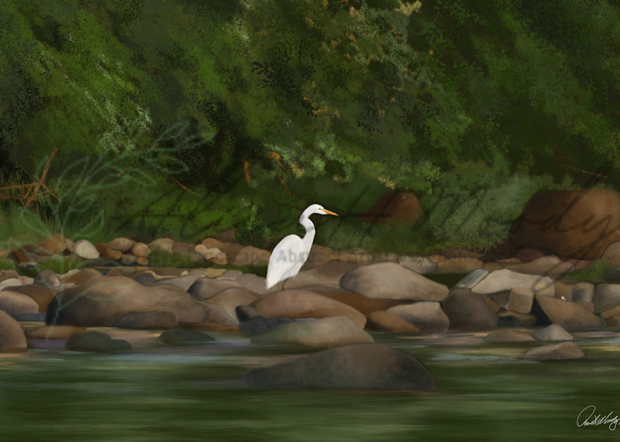 White Egret On The New River Art | Wild Country Studios