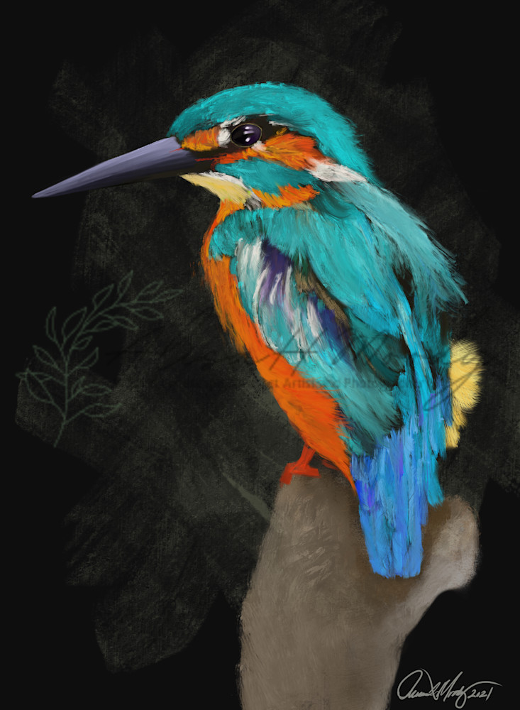 Kingfisher Art | Wild Country Studios