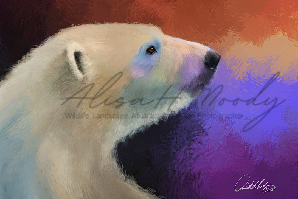 Colorful Polar Bear Art | Wild Country Studios