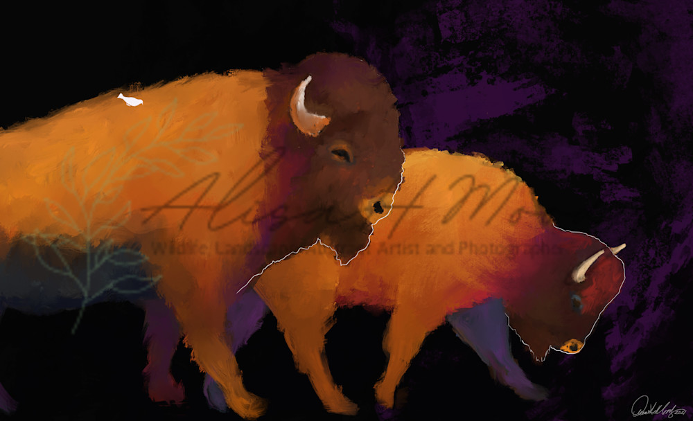 Bold Buffalo