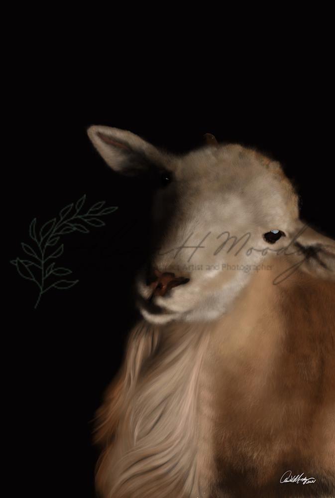 Lamb Of God Art | Wild Country Studios