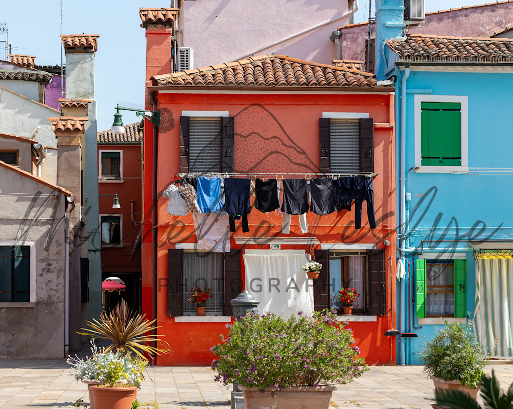 Threads Of Red Photography Art | Michelle Leslye Photography