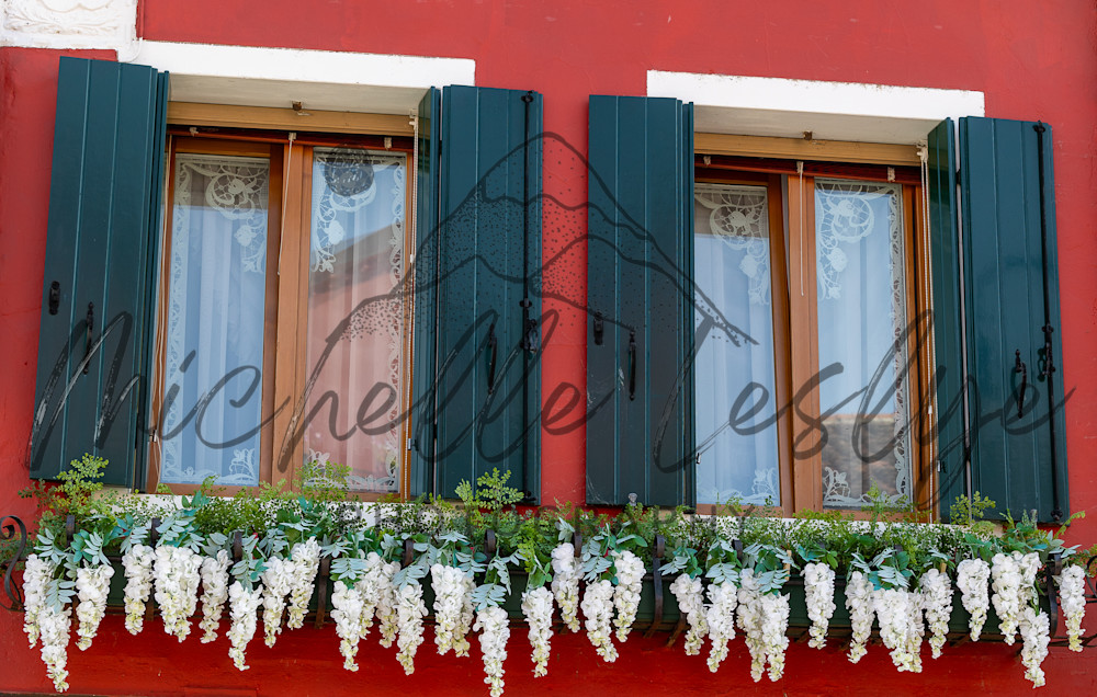 Framed In Scarlet Photography Art | Michelle Leslye Photography