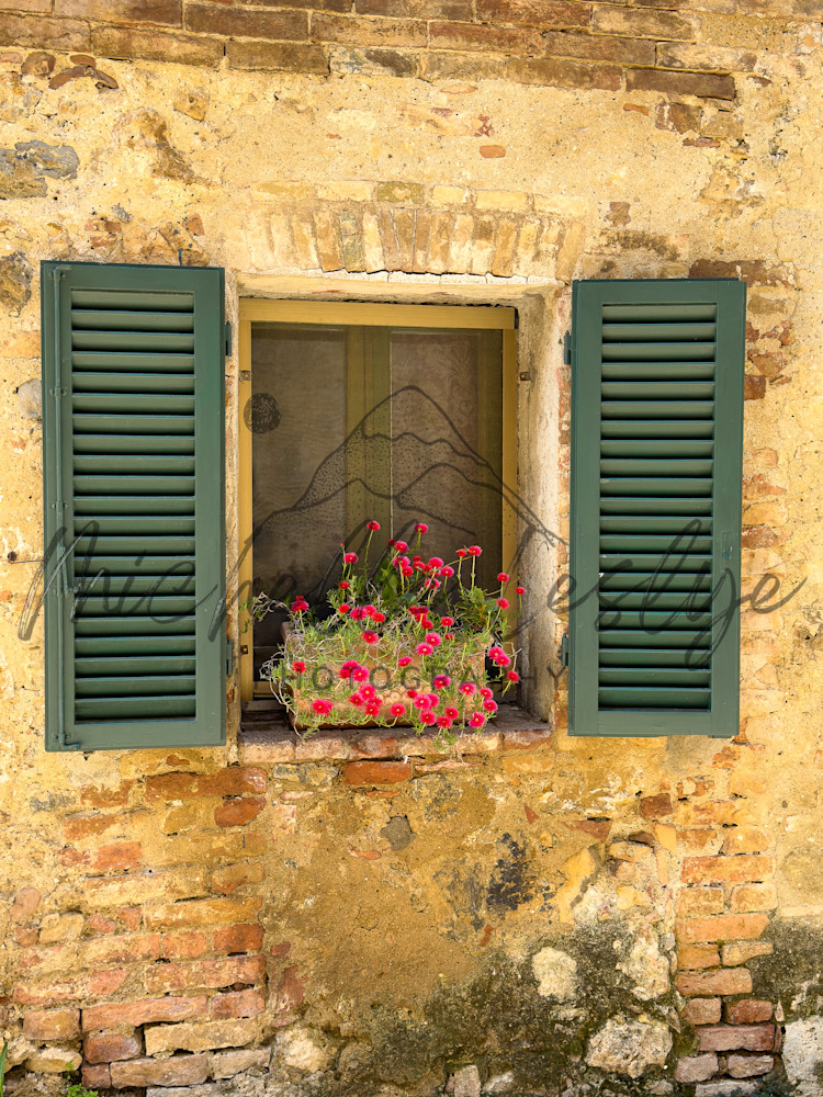 Window Of Petals Photography Art | Michelle Leslye Photography