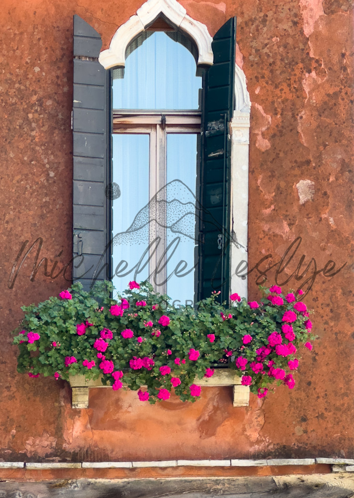 A Burst Of Pink Photography Art | Michelle Leslye Photography